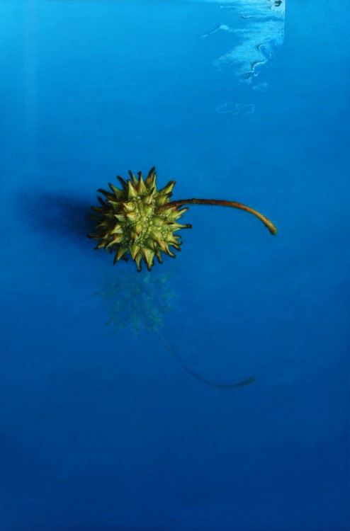 Angler <p>Still life with sweet gum boll on blue surface</p><p>Acrylic and oil paint on panel</p><p>10 x 15 cm</p><p></p>