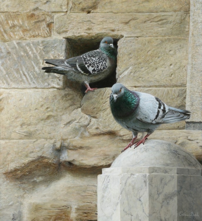 Stock Doves<p>Two pigeons in front of a wall</p><p>Acrylic paint on panel</p><p>50,1 x 54,9 cm</p><p></p>