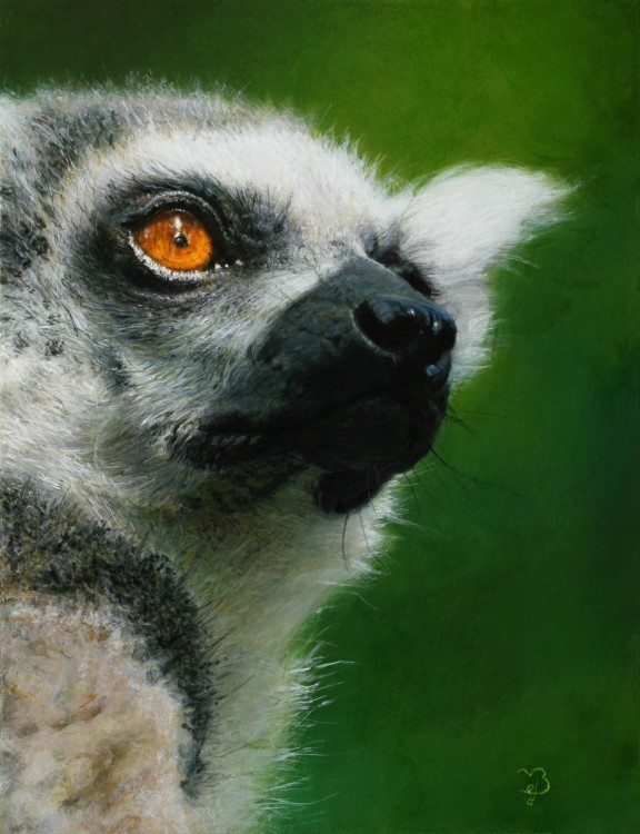 The Wise Mother<p>Ring-tailed lemur</p><p>Acrylic paint on marouflé</p><p>10,7 x 14 cm</p><p>(sold)</p>
